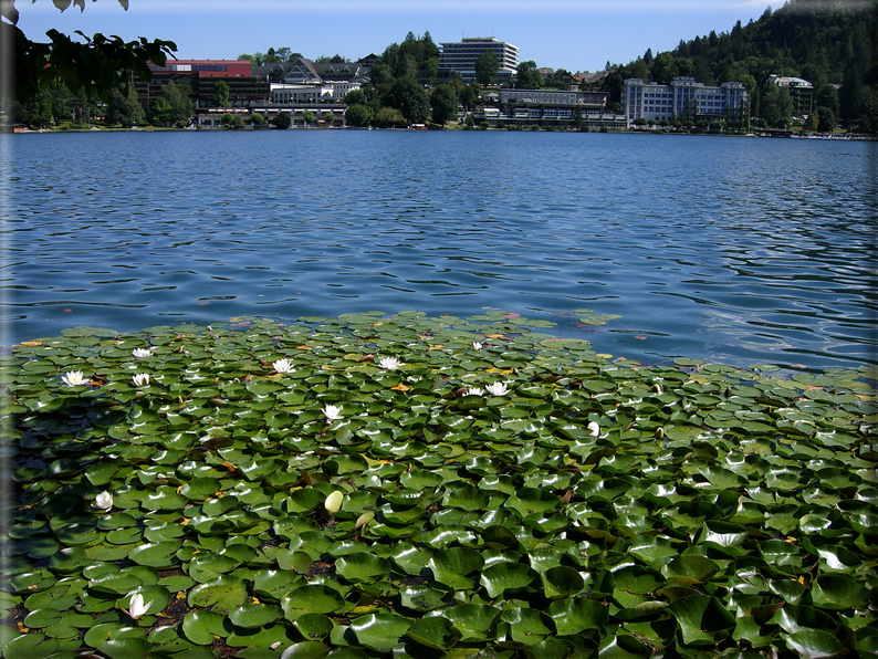 foto Lago di Bled